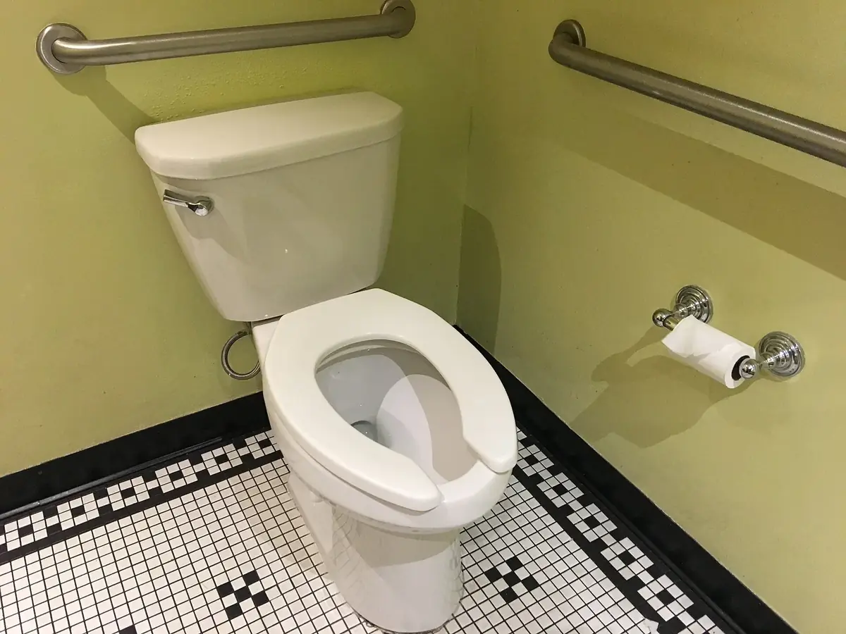 a toilet with stainless grab bars on the back and side walls, a toilet paper holder and black-and-white mosaic floor tile